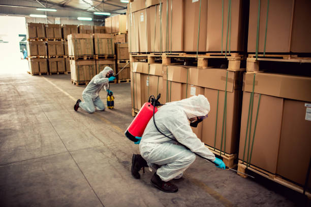Best Bed Bug Extermination  in Leoti, KS