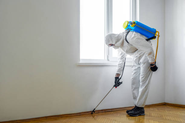 Best Mosquito Control Services  in Leoti, KS