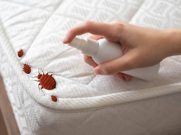 Best Commercial Pest Control Services  in Leoti, KS