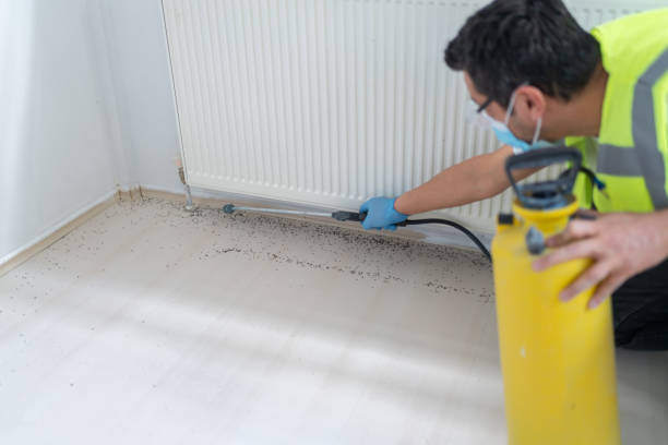 Best Termite Control Services  in Leoti, KS