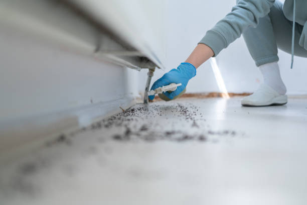 Best Pest Control Near Me in Leoti, KS